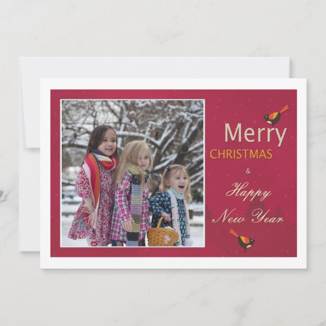 Noël Vacances Joli Carte photo Oiseaux (Devant)