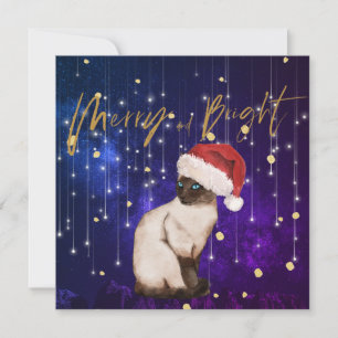 Noël Vacances Purple Chat Père Noël Salutation