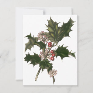 Noël vintage, Baies de plante de houx Invitation