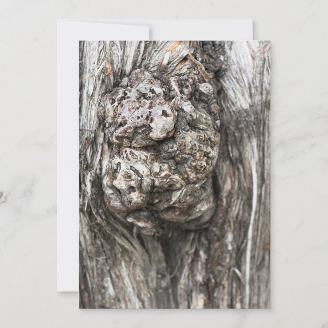 Noeud du tronc d'arbre (Devant)