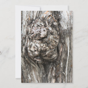 Noeud du tronc d'arbre