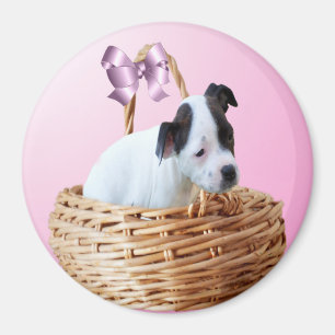 Noir Blanc Staffordshire Chiot, Magnet