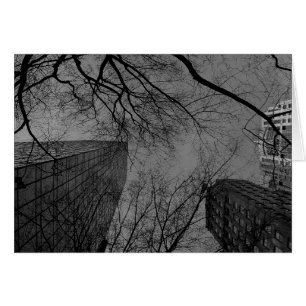 Noir City