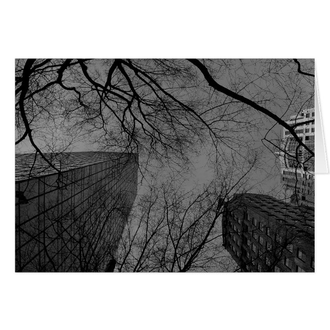 Noir City (Devant horizontal)