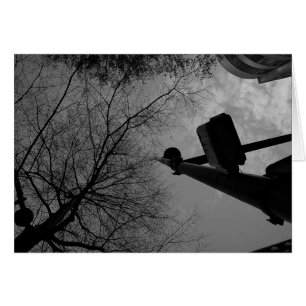 Noir City
