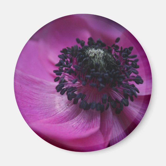 Noir coeur Anéone Magnet rond (Devant)