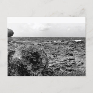 Noir et blanc, photo, carte postale standard