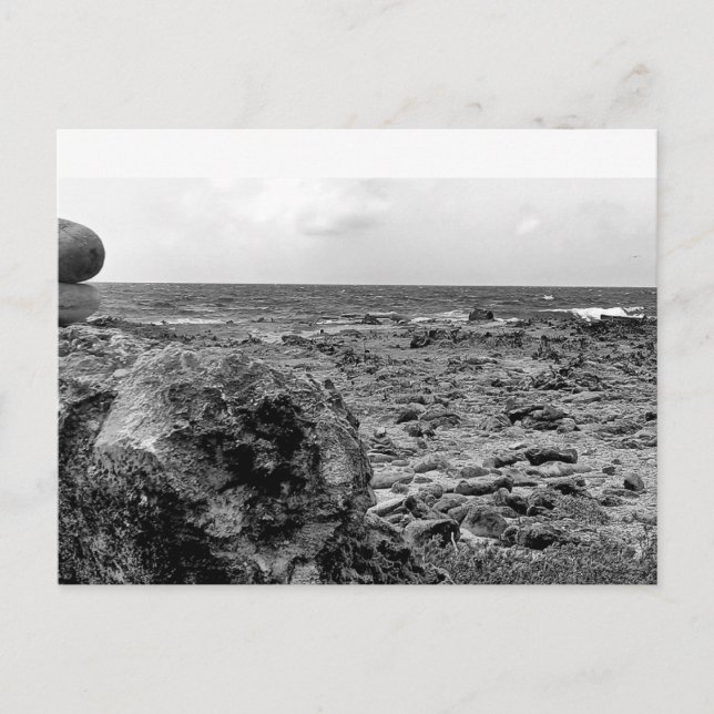 Noir et blanc, photo, carte postale standard (Devant)