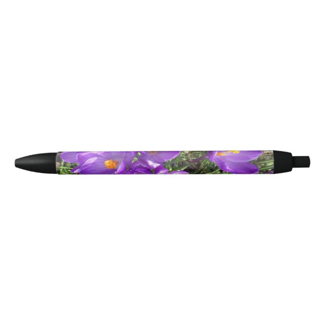 Noir Stylo Crocus pourpre (Devant)