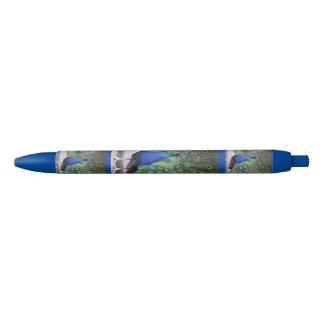 Noir Stylo Peacock