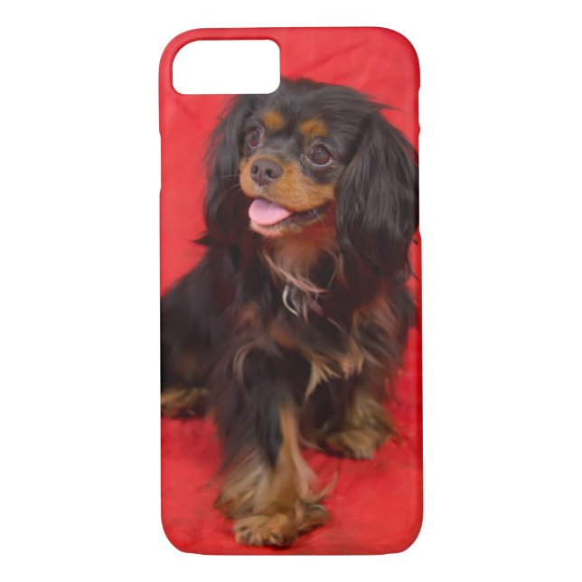 Noir Tan Cavalier King Charles coque iphone (Dos)