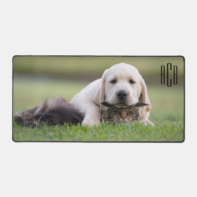 Noir Trois Lettres Monogramme Pet Photo (Recto)