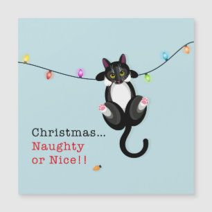 Noisie de Noël ou Nice