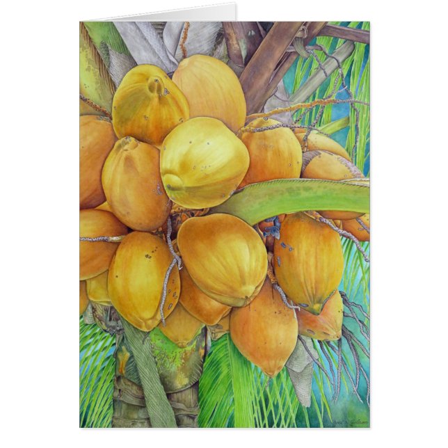 Noix de coco d'or (Devant)