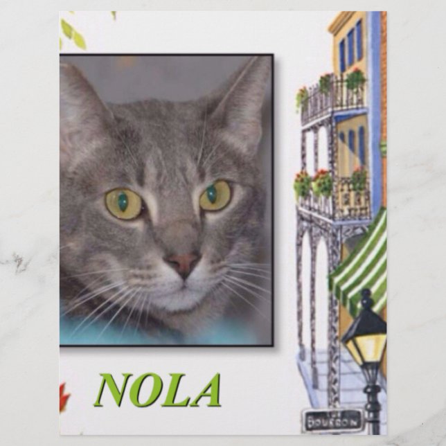 NOLA (Devant)