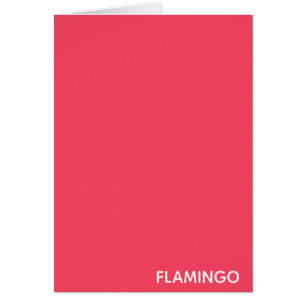 Nom de couleur rose Flamant rose