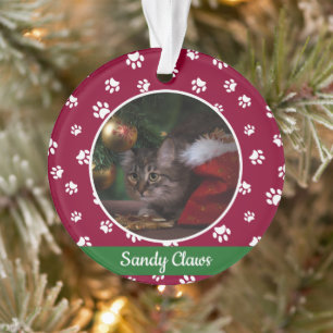 Nom de photo de chat mignon année empreintes de pa