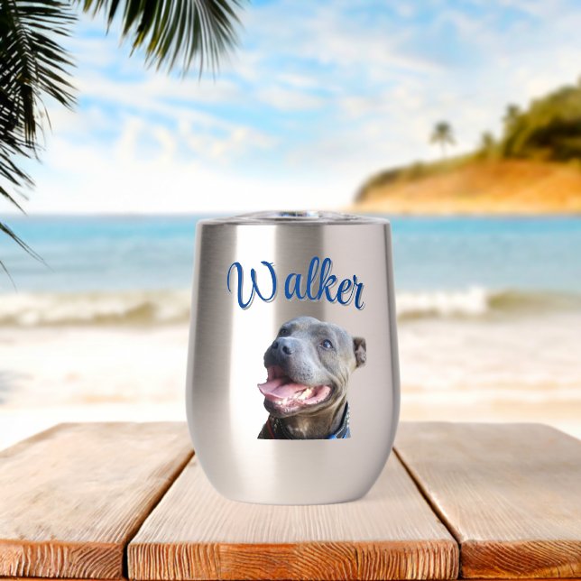 Nom de Walker avec Staffy Bull Terrier,  (Plage (pivotée))
