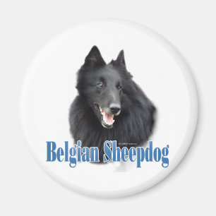 Nom du chien de garde belge - Magnet
