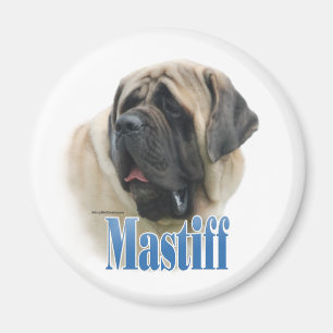 Nom Mastiff - Aimant