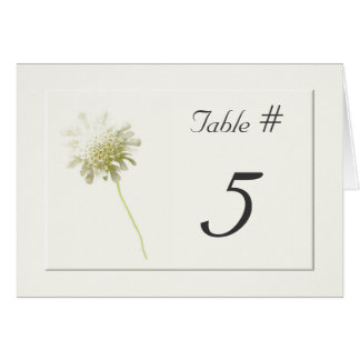Nombres floraux de Tableau de mariage de pissenlit
