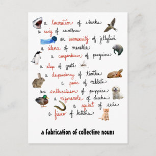 Noms collectifs : cartes postales