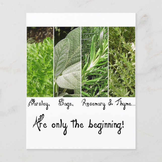 non défini (Devant)