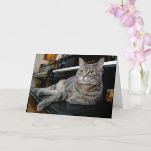 Nora The Piano Cat - Carte pliée vierge - Style 00