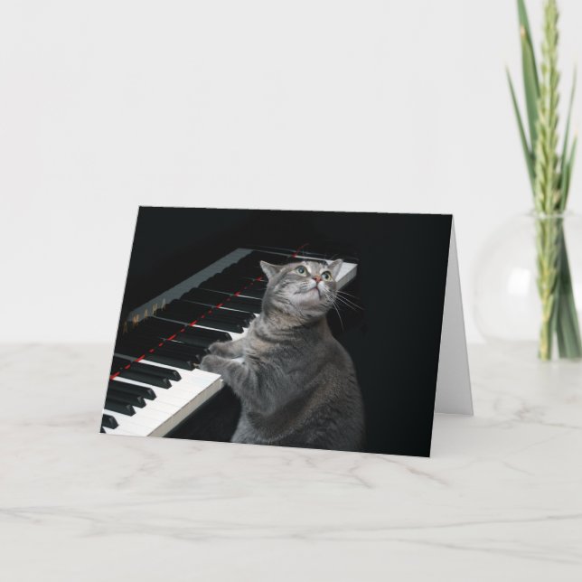 Nora The Piano Cat - Carte pliée vierge - Style 00 (Devant)
