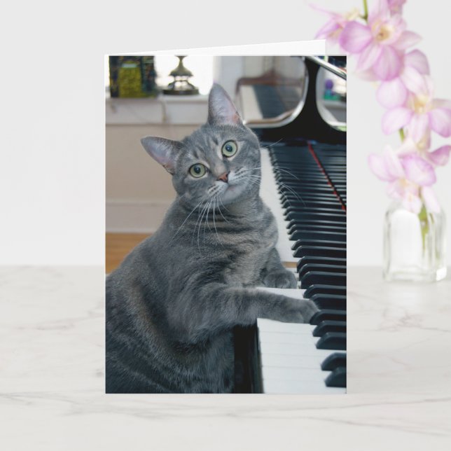 Nora The Piano Cat - Carte pliée vierge - Style 00 (Orchidée)