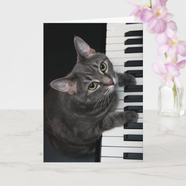 Nora The Piano Cat - Carte pliée vierge - Style 00 (Orchidée)