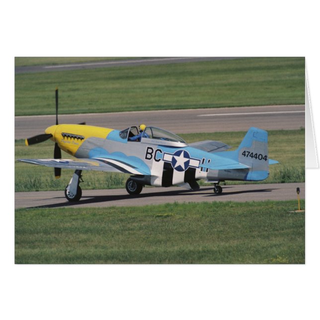 Nord-américain P-51 D Dazzling Donna sur le (Devant horizontal)