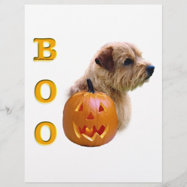 Norfolk Terrier Halloween Boo (Devant)