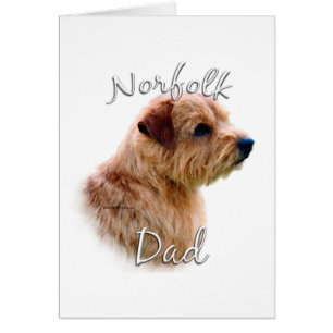 Norfolk Terrier Papa 2