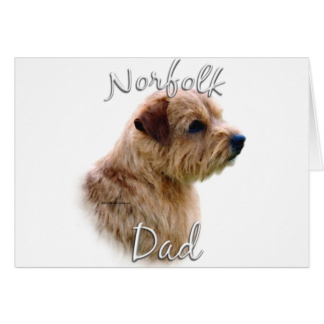 Norfolk Terrier Papa 2 (Devant horizontal)