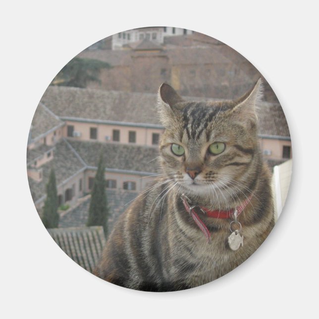 Norme De Photo De Chat, Aimant Rond De 5,7 Cm (Devant)