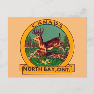 North Bay (Ontario) - Carte postale