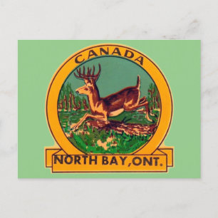 North Bay (Ontario) - Carte postale