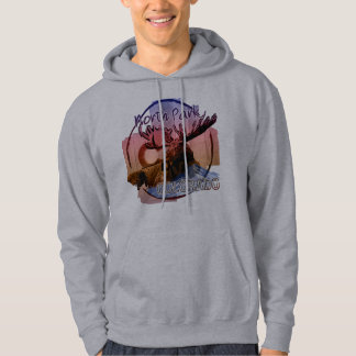 North Park Colorado sweat - shirt à capuche d'orig