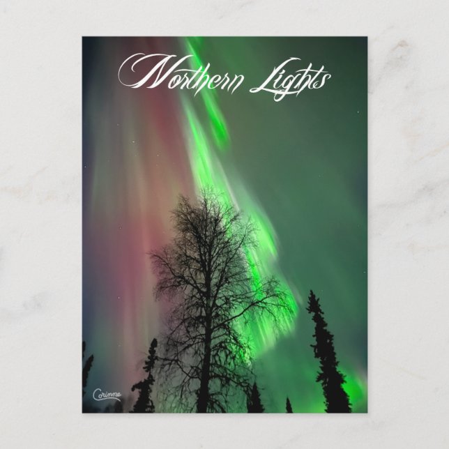 Northern Lights 2 - Carte postale (Devant)
