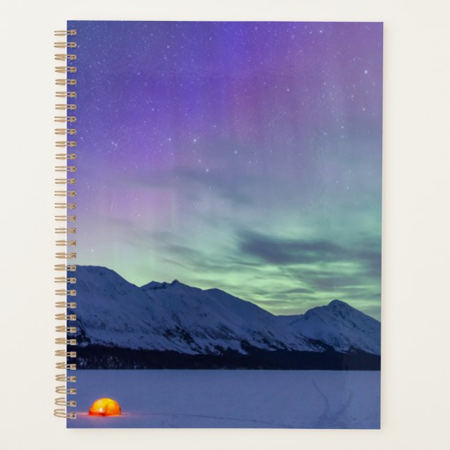 Northern Lights Moose Pass | Péninsule de Kenai (Devant)