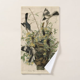 Northern Mocking Bird, Audubon's Birds of America