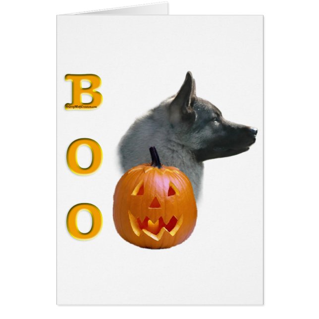 Norvégien Elkhound Boo (Devant)