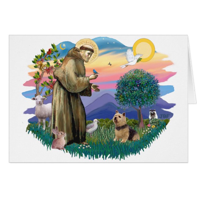 Norwich Terrier (Devant horizontal)