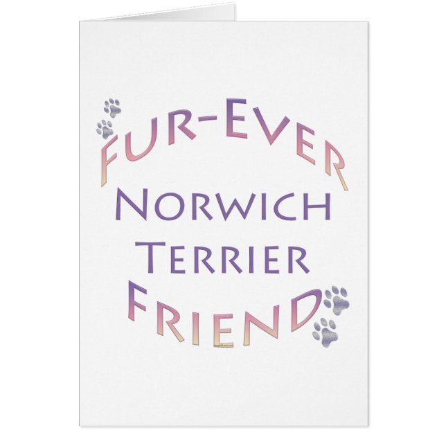 Norwich Terrier Furever (Devant)