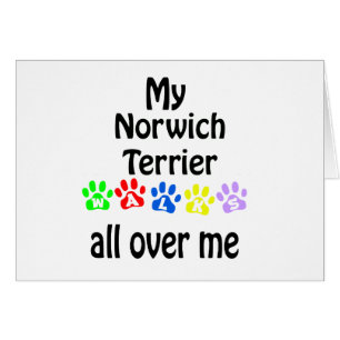 Norwich Terrier Walks Design