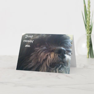 NOSEY ME - 40e CARTE D'ANNIVERSAIRE