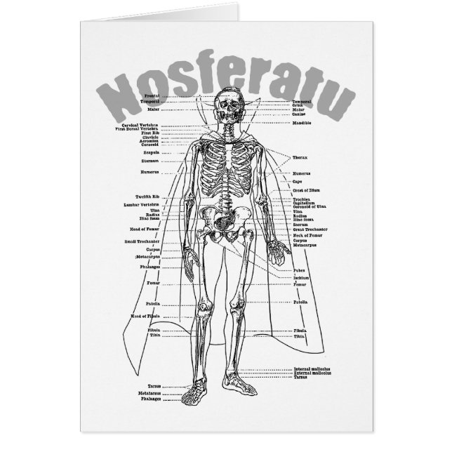 Nosferatu (Devant)