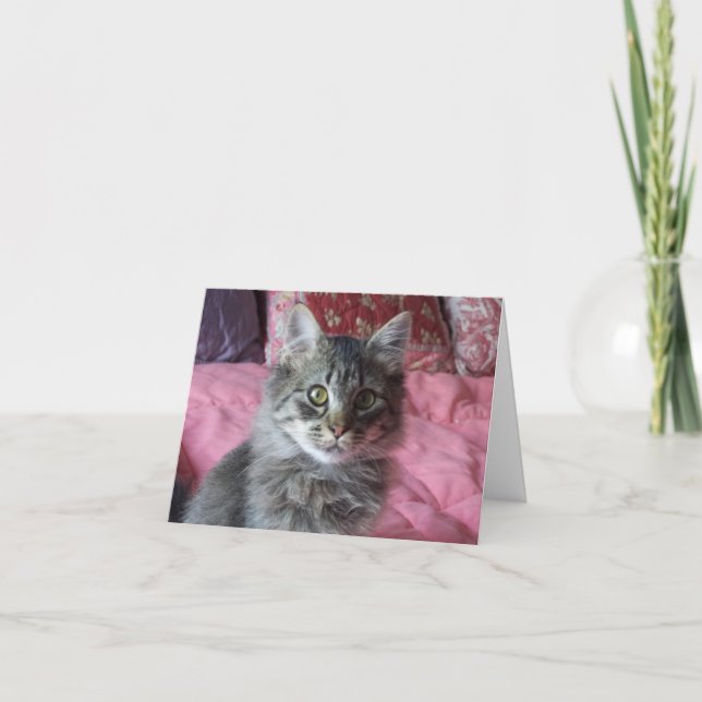 Note Carte avec chaton photo (Devant)