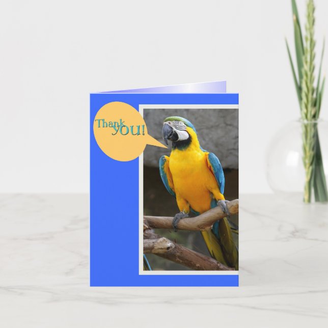 Note de Merci de Parrot (Devant)